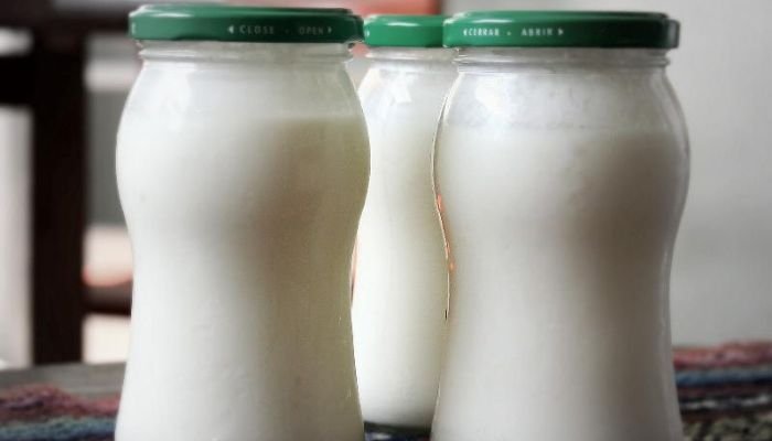 Iogurte Caseiro